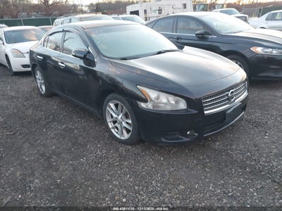NISSAN MAXIMA 2010