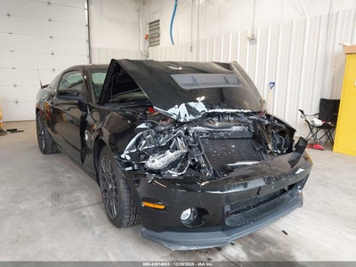 FORD SHELBY GT500 2013