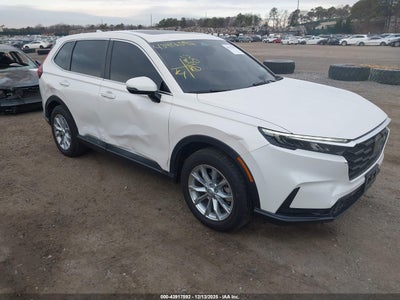 HONDA CR-V 2025
