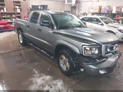 DODGE DAKOTA 2010