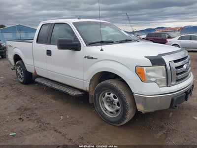 FORD F-150 2011