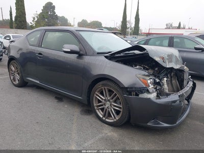 SCION TC 2013