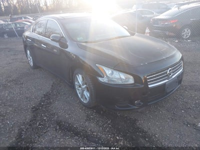 NISSAN MAXIMA 2009