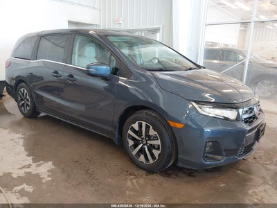 HONDA ODYSSEY 2026