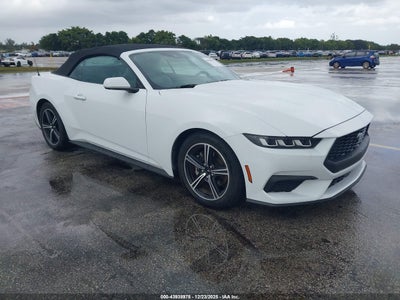 FORD MUSTANG 2024