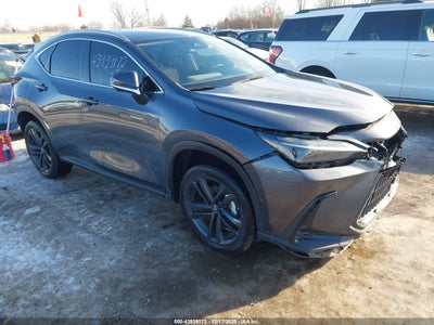 LEXUS NX 450H+ 2024