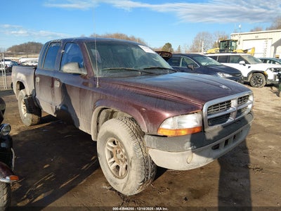 DODGE DAKOTA 2004
