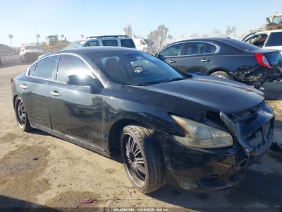 NISSAN MAXIMA 2010