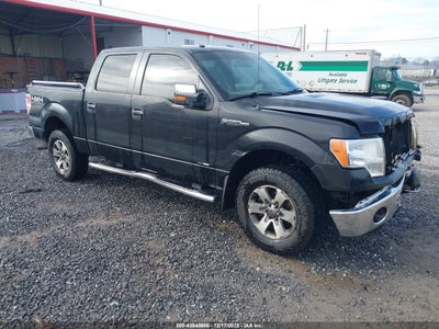 FORD F-150 2014