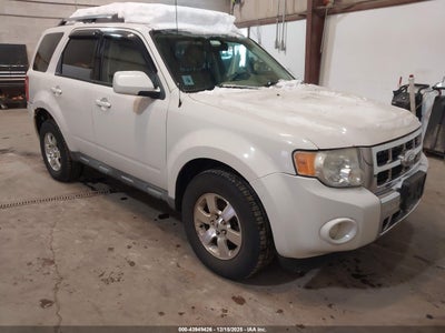 FORD ESCAPE 2010