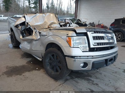 FORD F-150 2013
