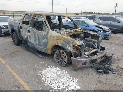 FORD F-150 2014