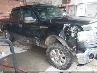 FORD F-150 2013