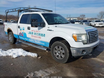 FORD F-150 2010
