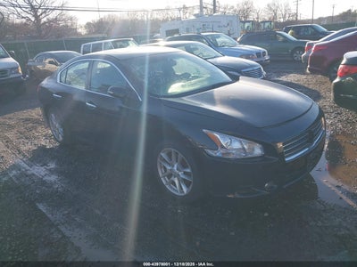 NISSAN MAXIMA 2010