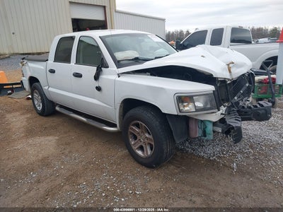 RAM DAKOTA 2011