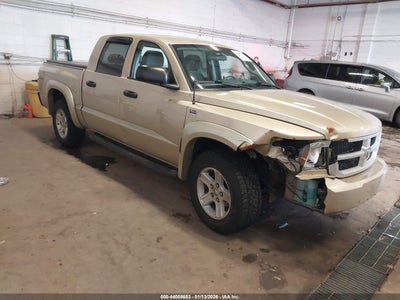 RAM DAKOTA 2011