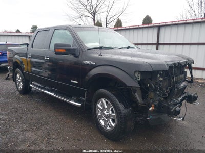 FORD F-150 2014