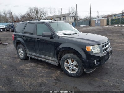 FORD ESCAPE 2010