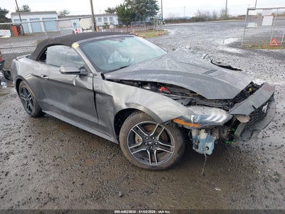 FORD MUSTANG 2019