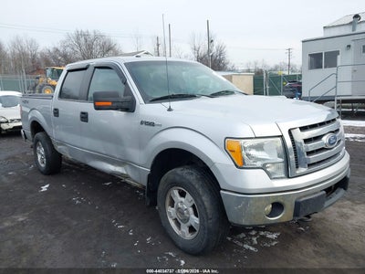 FORD F-150 2010
