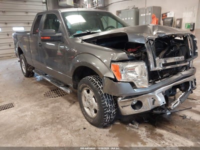 FORD F-150 2010