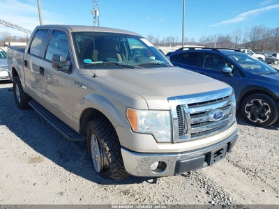 FORD F-150 2010
