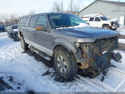 FORD F-150 2009