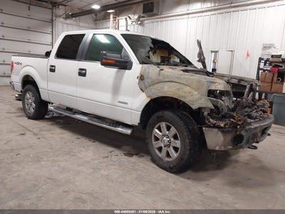 FORD F-150 2013