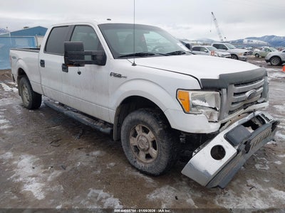 FORD F-150 2010