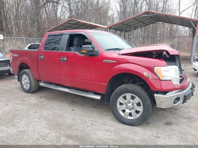FORD F-150 2012