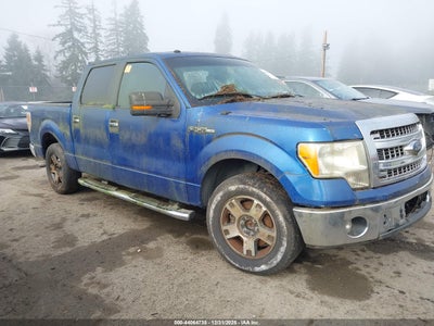 FORD F-150 2013