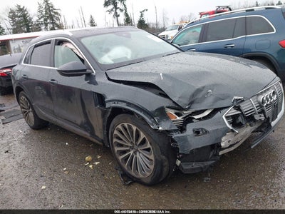 AUDI E-TRON 2019