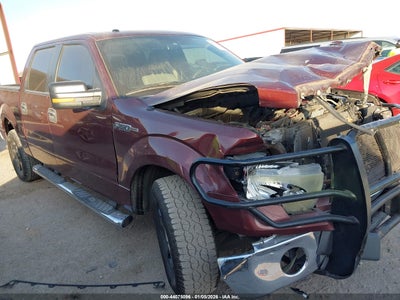 FORD F-150 2010