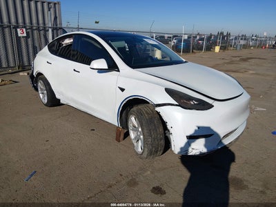 TESLA MODEL Y 2020
