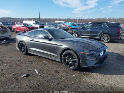FORD MUSTANG 2019