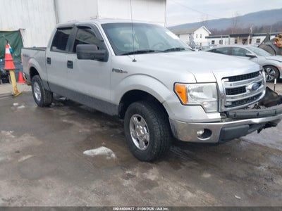FORD F-150 2013
