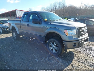 FORD F-150 2010