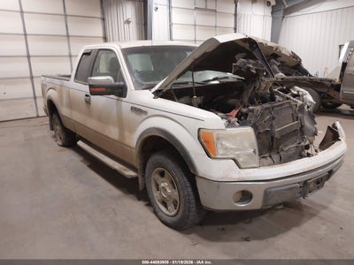 FORD F-150 2010