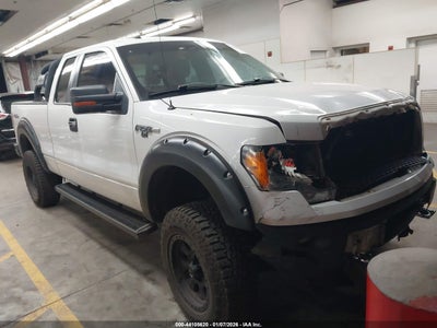 FORD F-150 2009