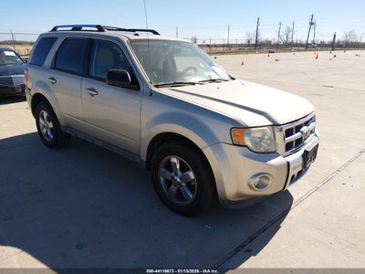FORD ESCAPE 2010