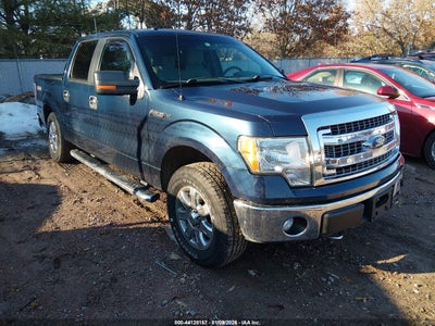 FORD F-150 2014