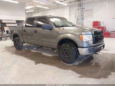 FORD F-150 2012
