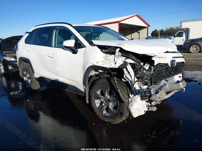 TOYOTA RAV4 2024