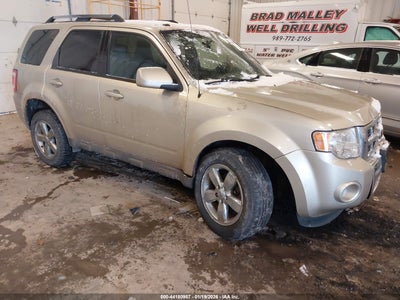 FORD ESCAPE 2011