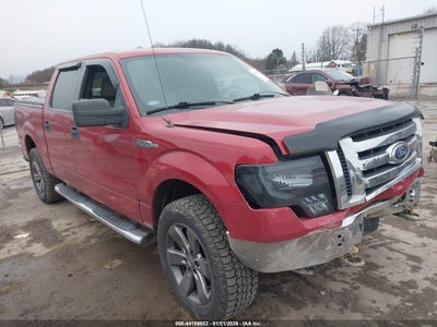 FORD F-150 2010