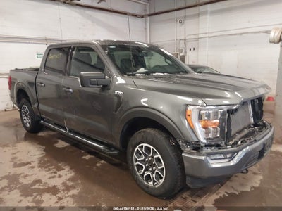 FORD F-150 2023