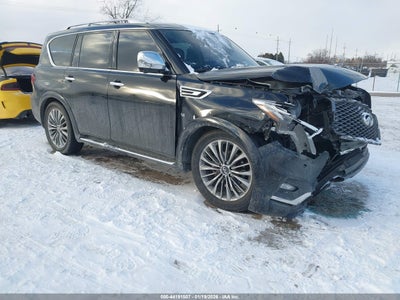 INFINITI QX80 2019