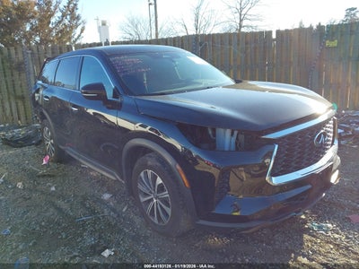 INFINITI QX60 2024