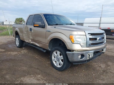 FORD F-150 2013